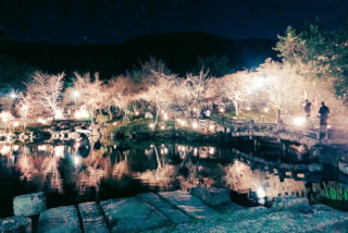 週末に一味違ったおとなの京都へ～夜にきらめく祇園の夜間拝観スポット3選～_画像
